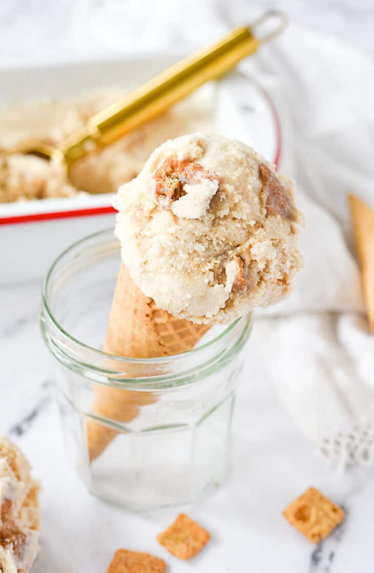 Cinnamon Toast Crunch Ice Cream Recipe by Leigh Anne Wilkes