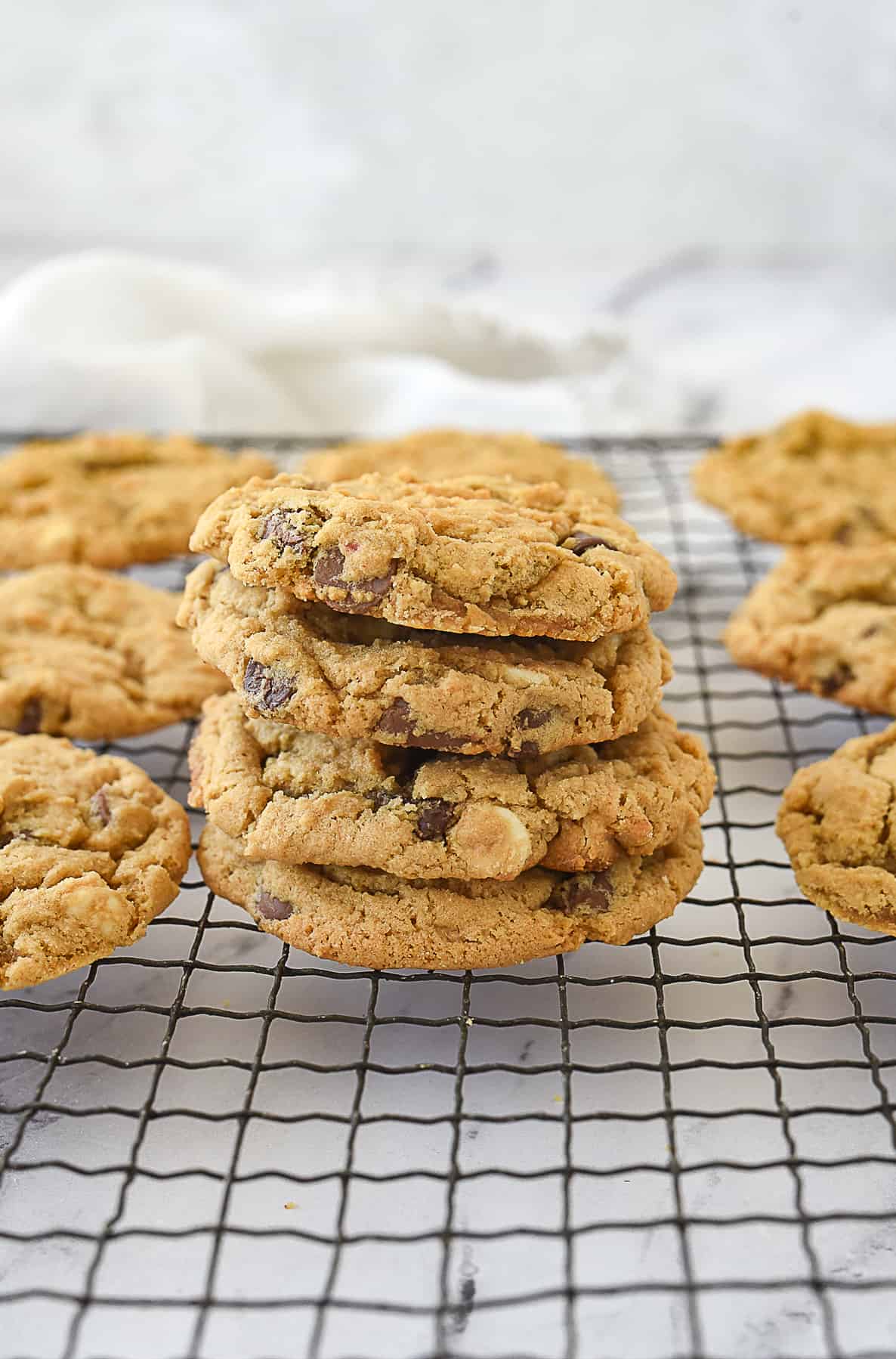 stack of malted chocolate chip cookies