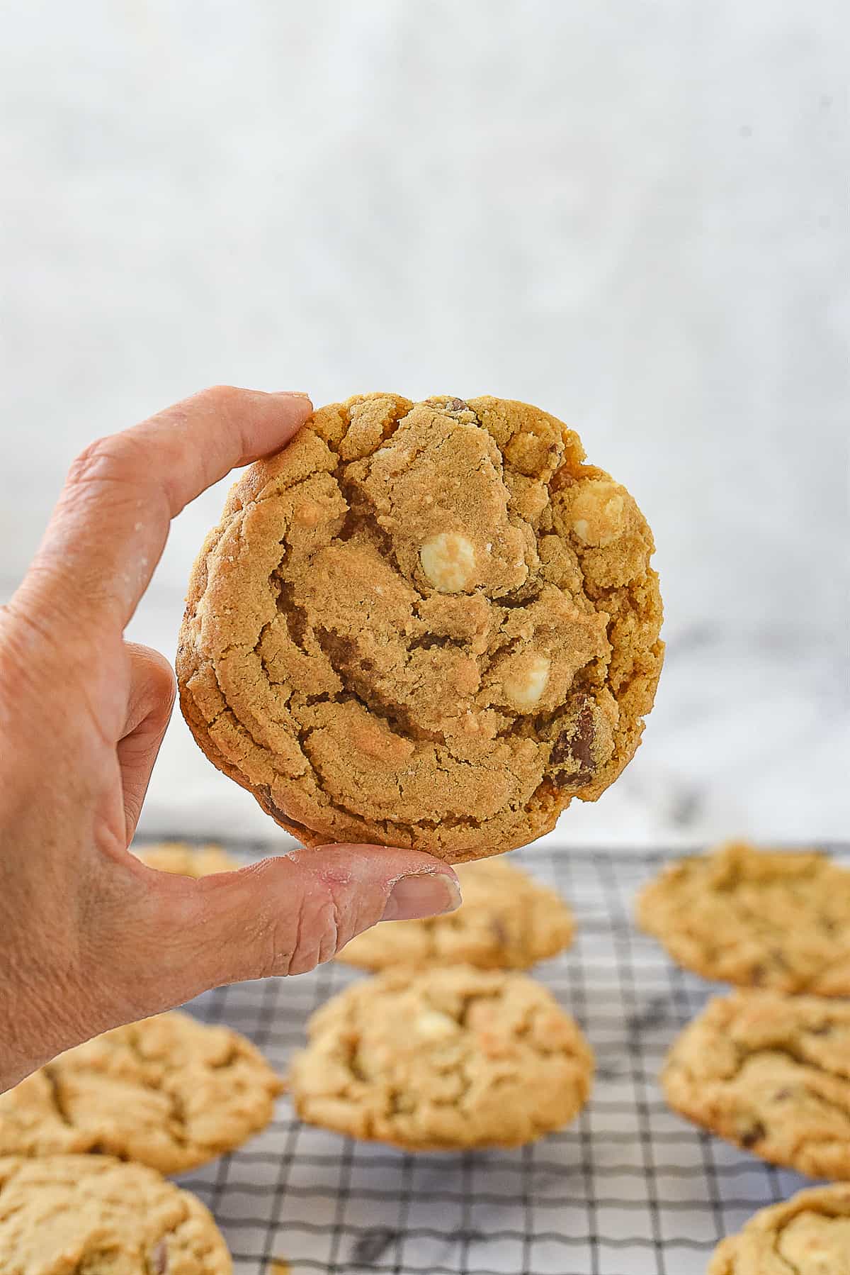 hand holding a malted chocolate chip cookie