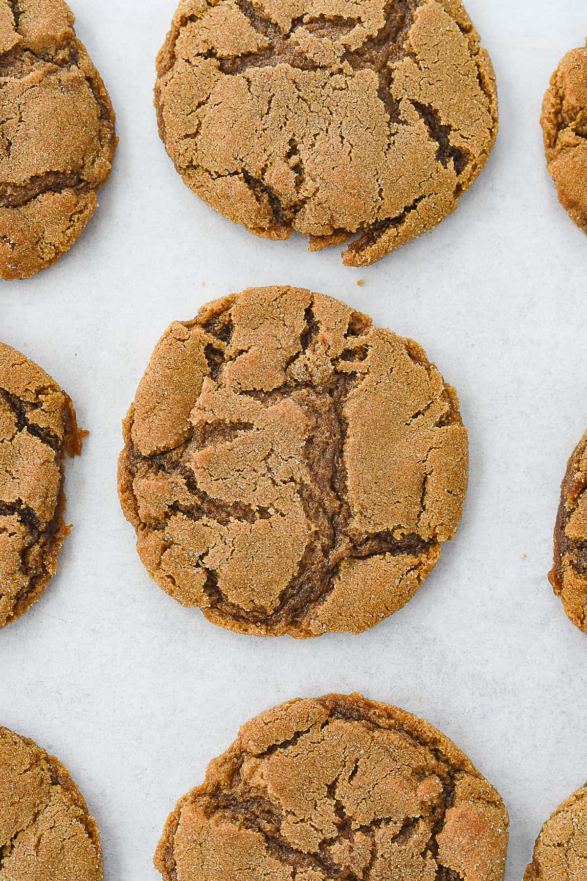 up close photo of a molasses cookie