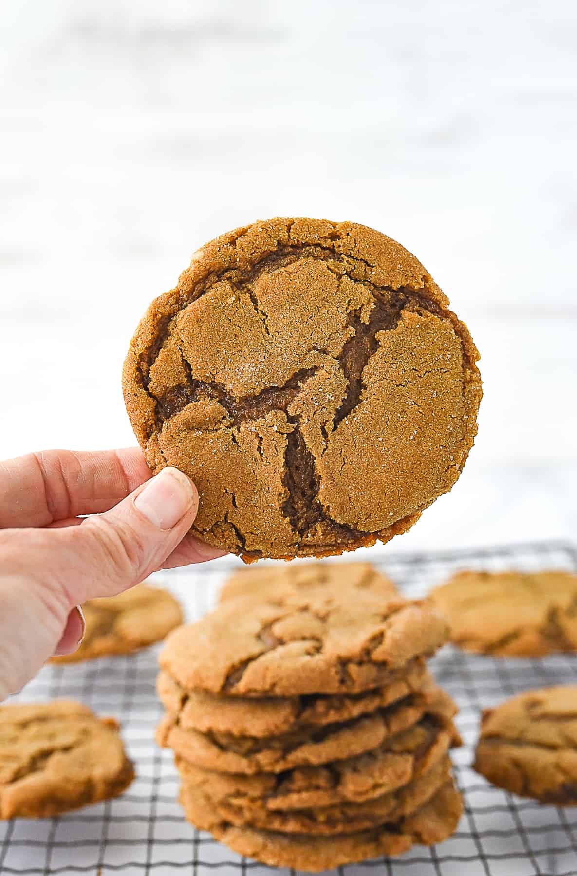 hand holding molasses cookie