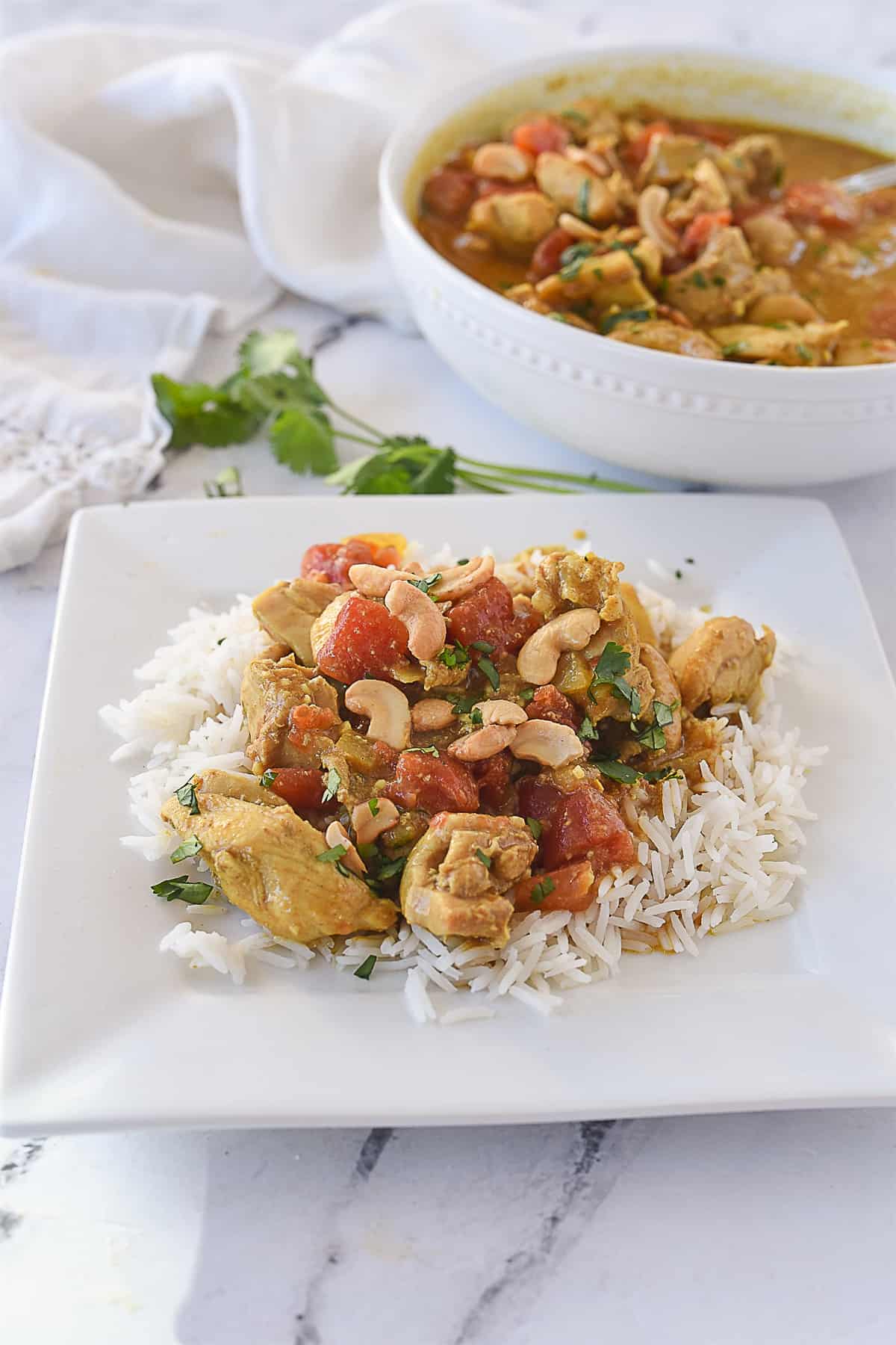 chicken korma over rice