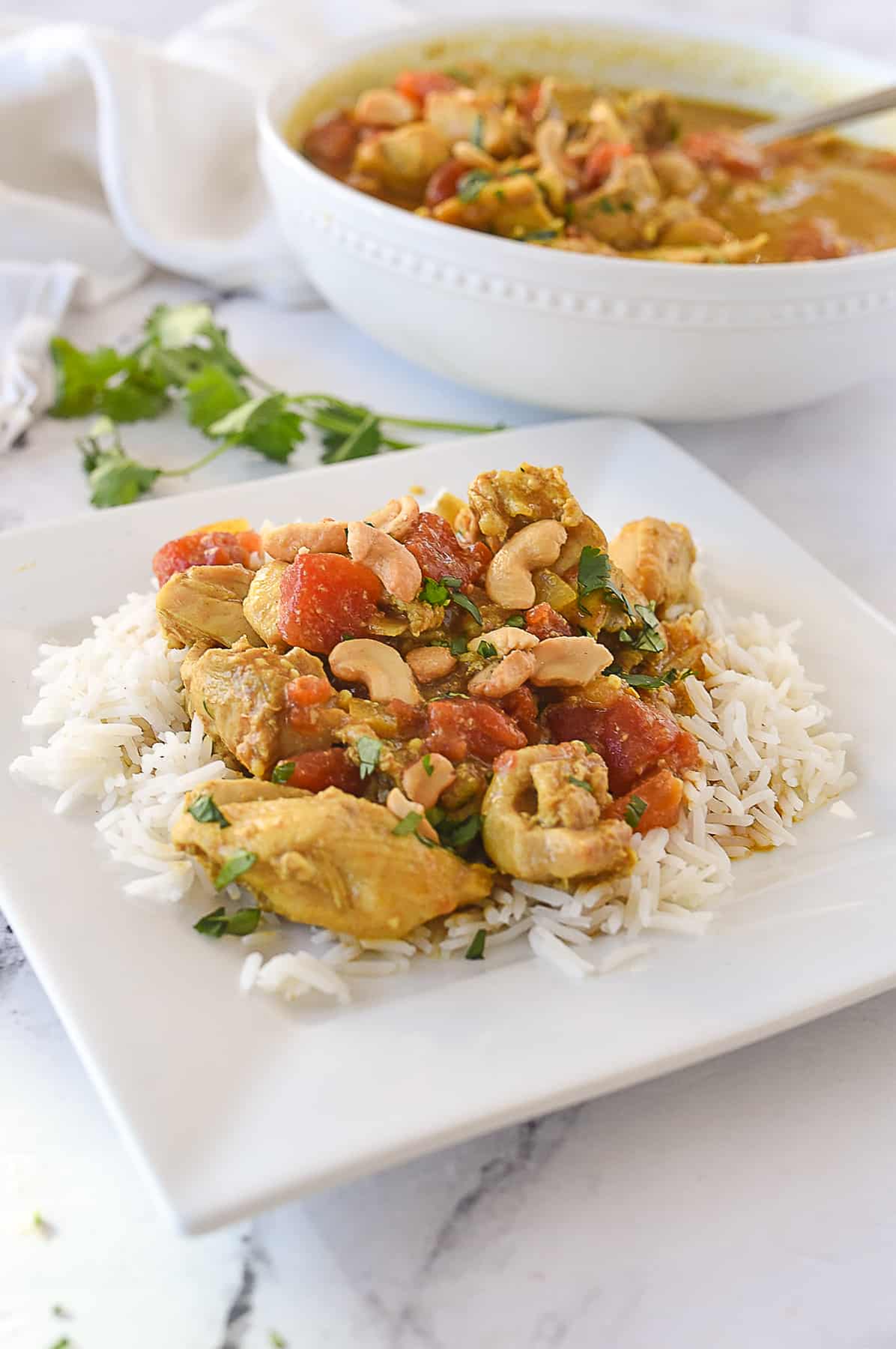 chicken korma over rice