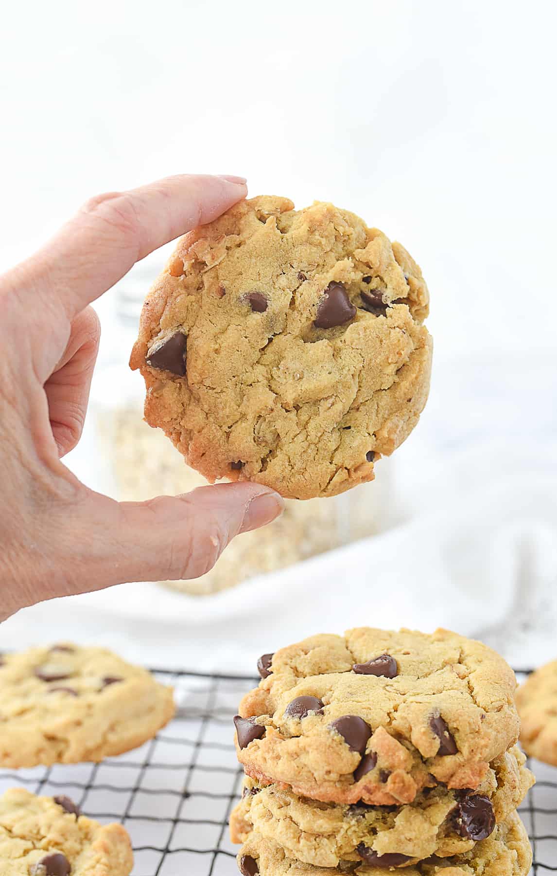 hand holding an oatmeal chocolate chip cookie