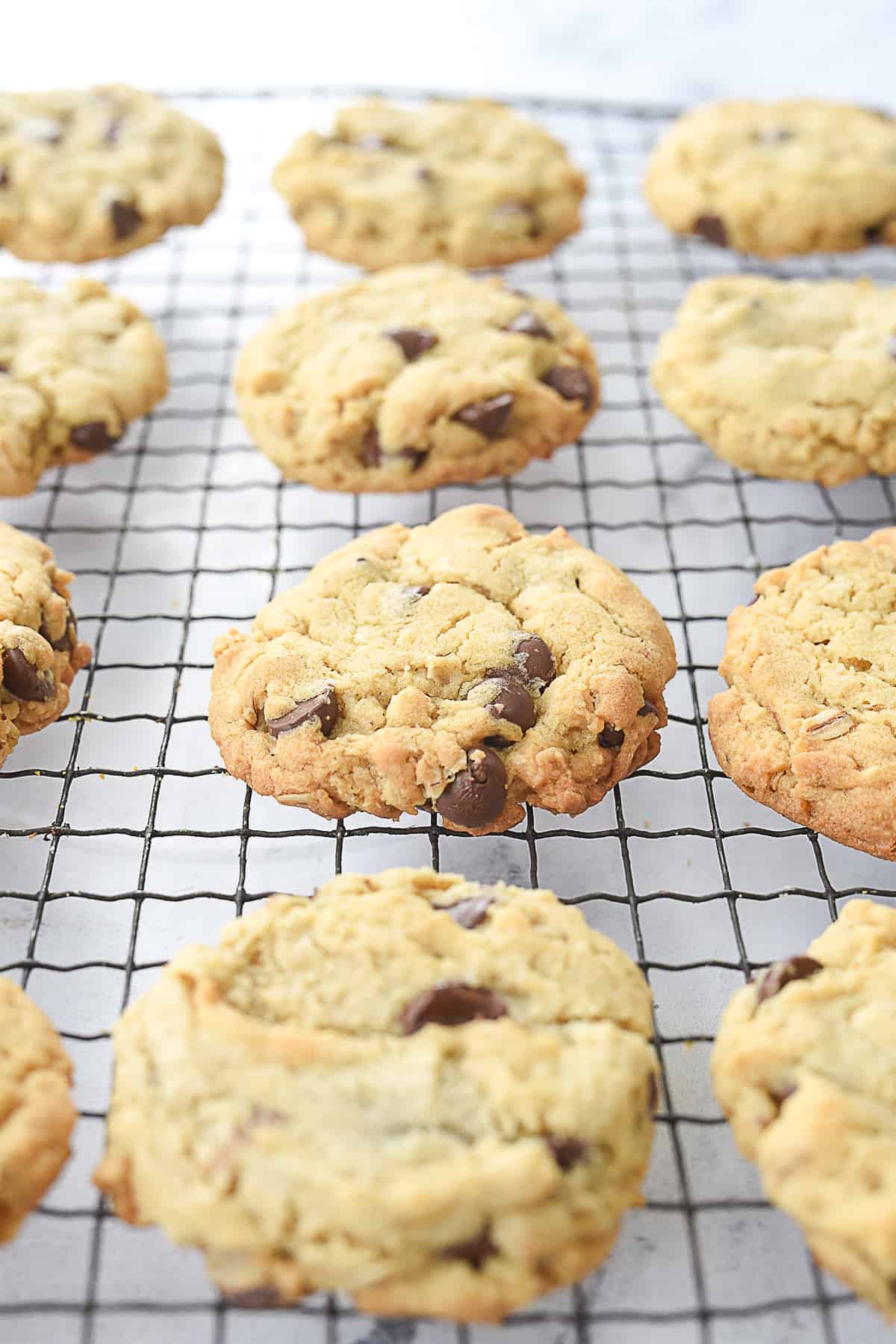 oatmeal chocolate chip cookies on a cooing rack