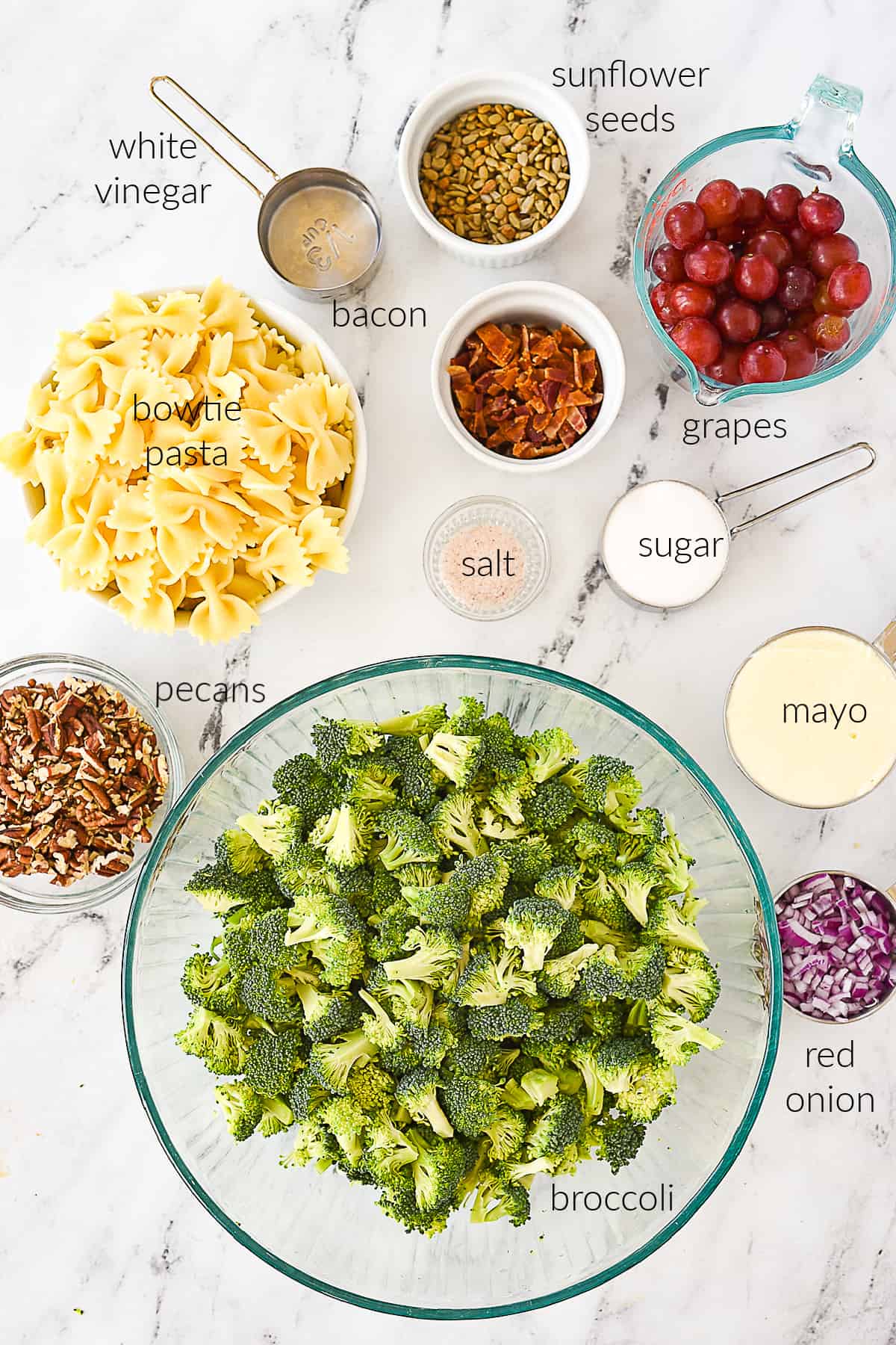 ingredients for broccoli pasta salad