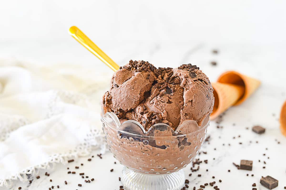 bowl of chocolate ice cream with a spoon in it