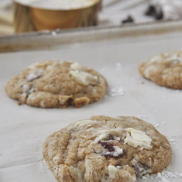 CRANBERRY OATMEAL COOKIE ON A BAKING SHEET