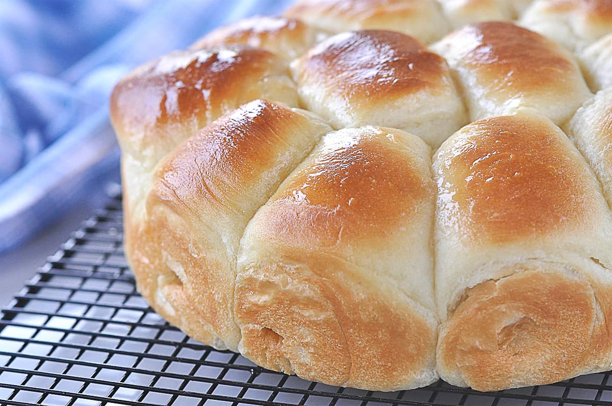 close up of fluffy dinner rolls