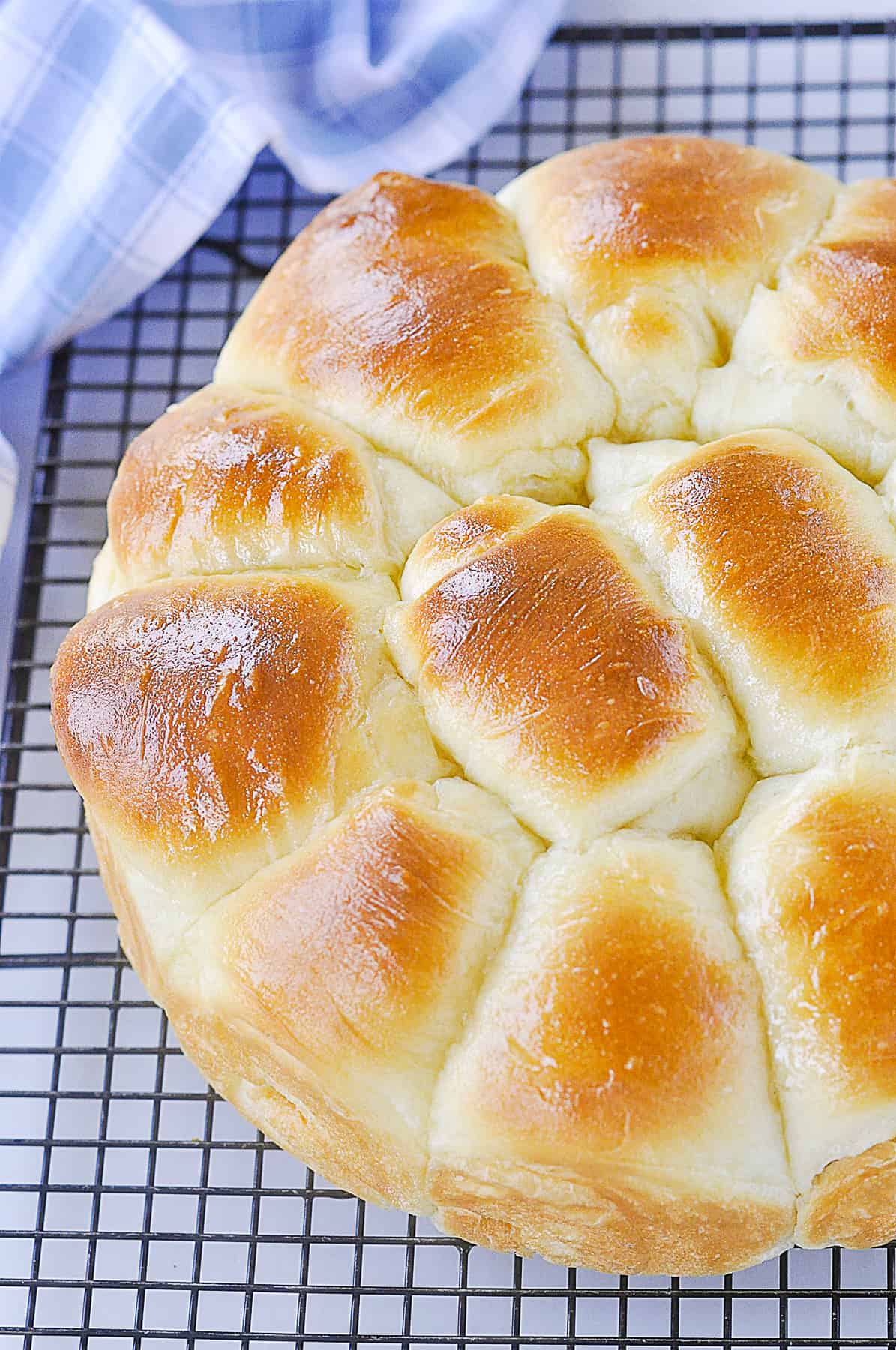 overhead shot of fluffy dinner rolls