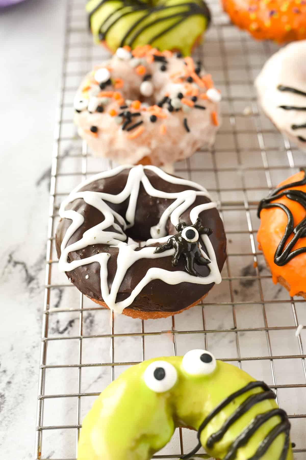 spider web donut