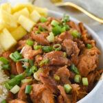 crock pot hawaiian bbq chicken