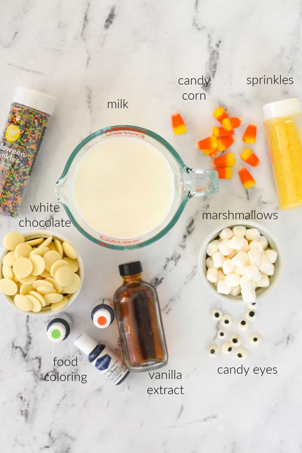 Ingredients ofr halloween hot chocolate.