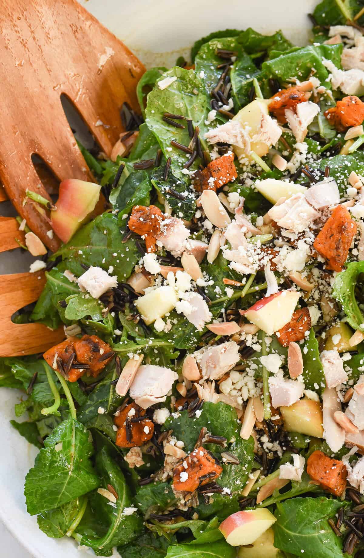 harvest bowl overhead shot of harvest salad in a white bowl