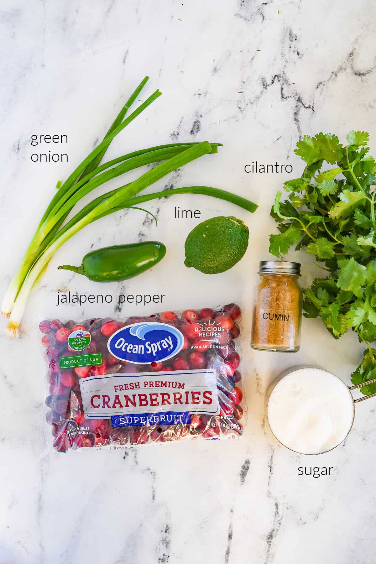 ingredients for cranberry salsa