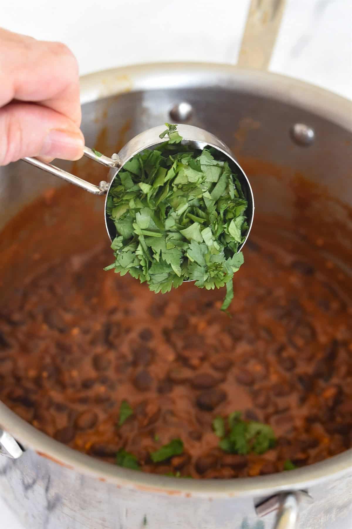 adding cilantro to simmered beans in sauce pan