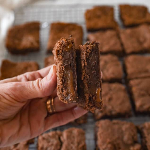 hand holding a brownie