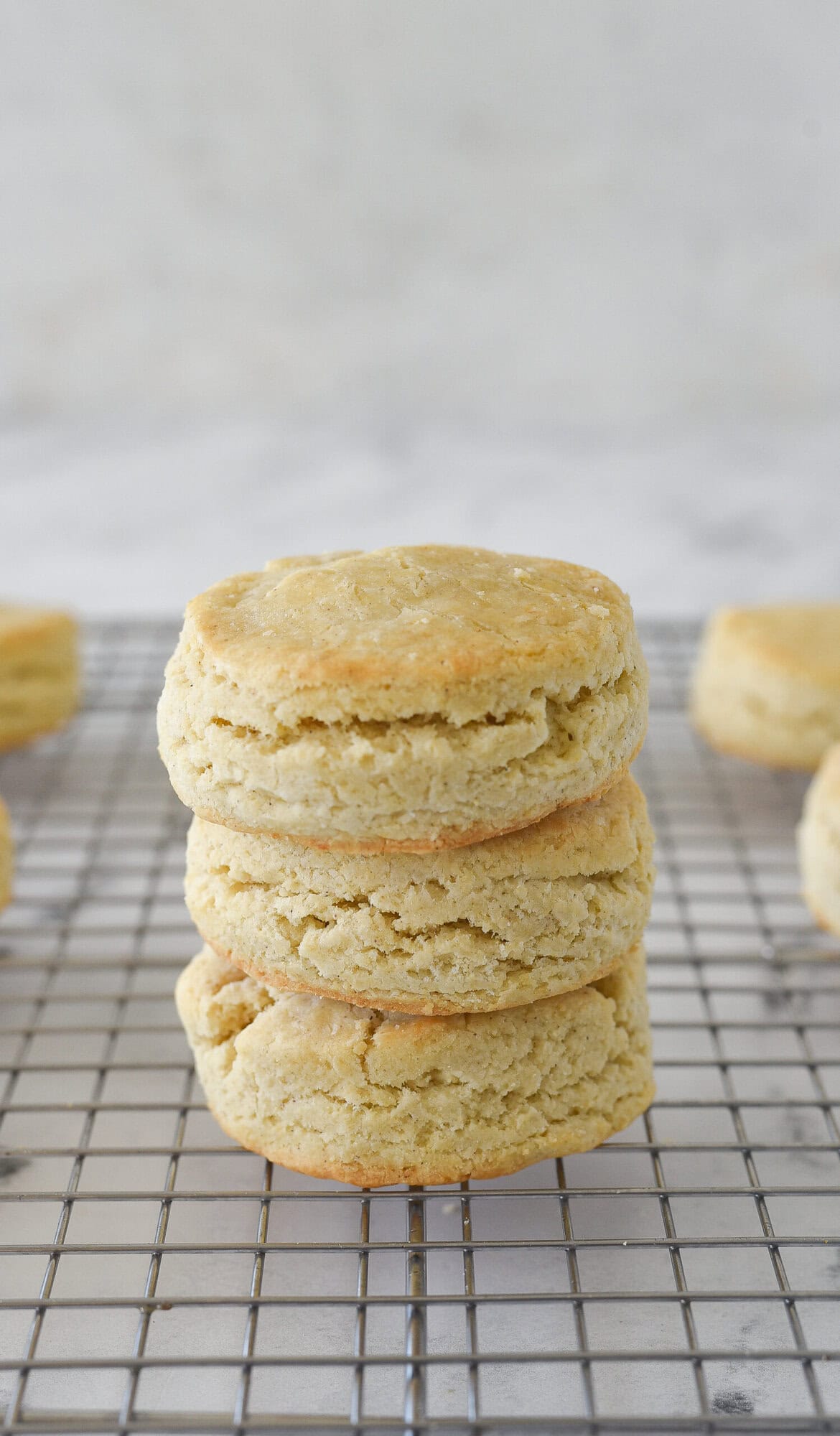 stack of 3 gluten free biscuits
