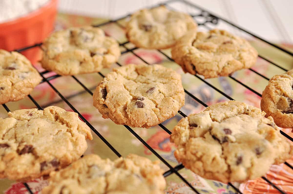 gluten free chocolate chip cookies on a cooling rack
