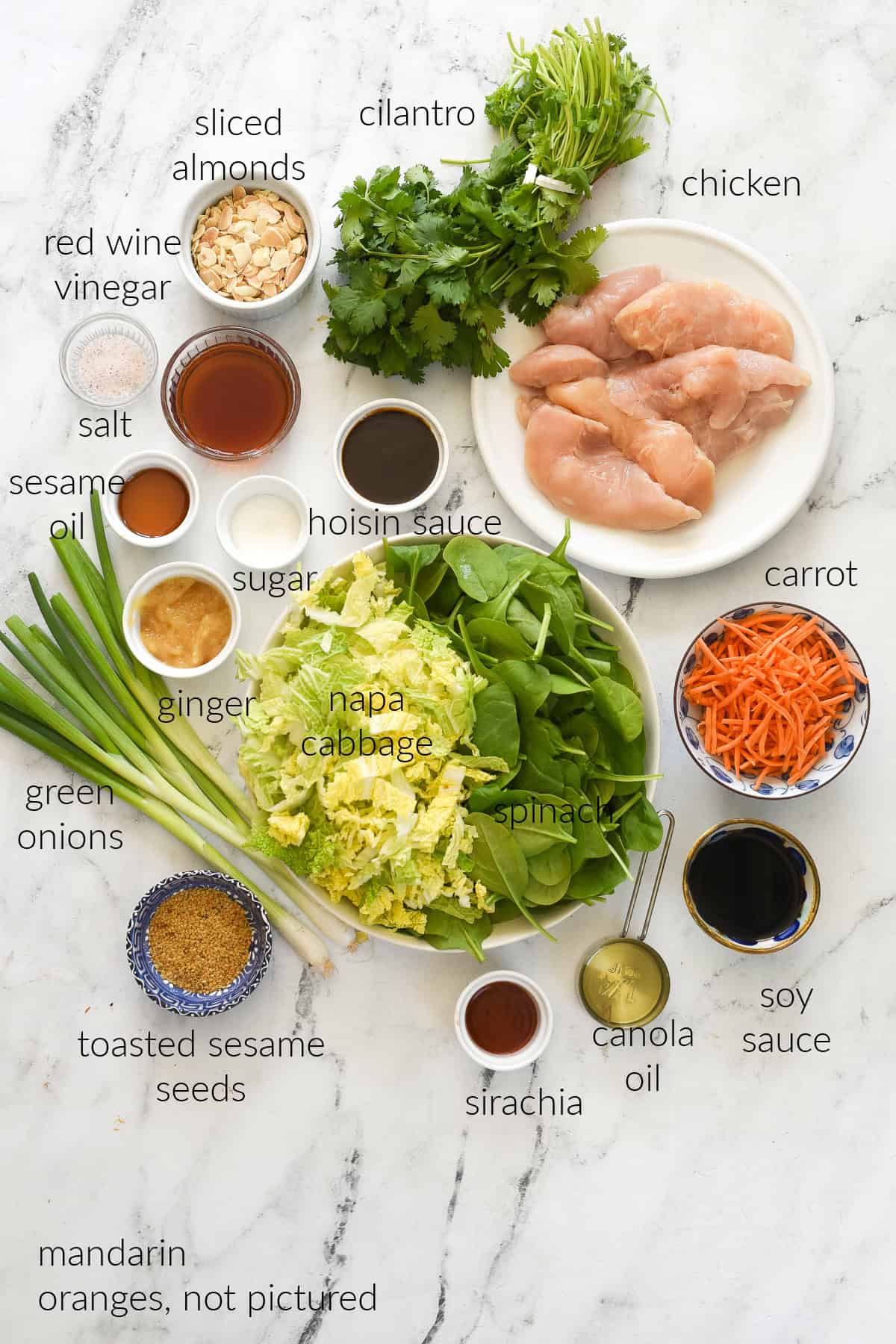 ingredients for sesame chicken salad