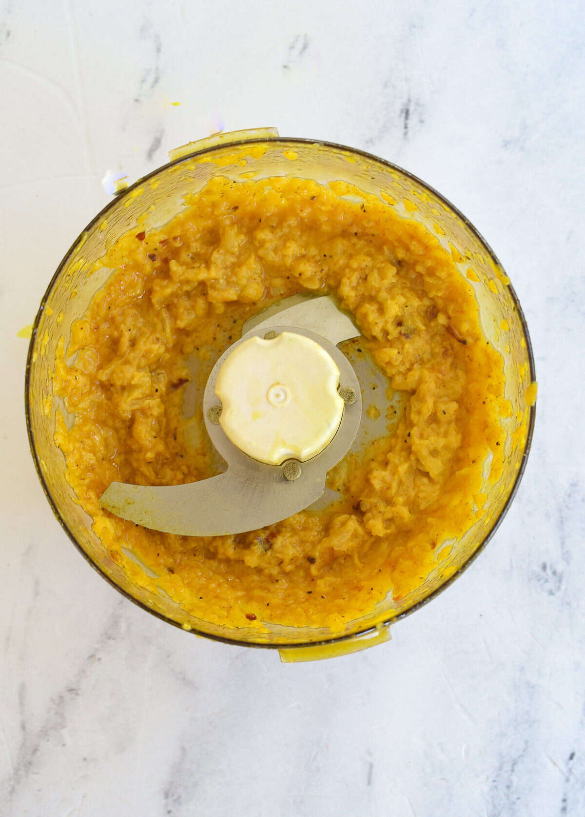 blended onion and spices in food processor