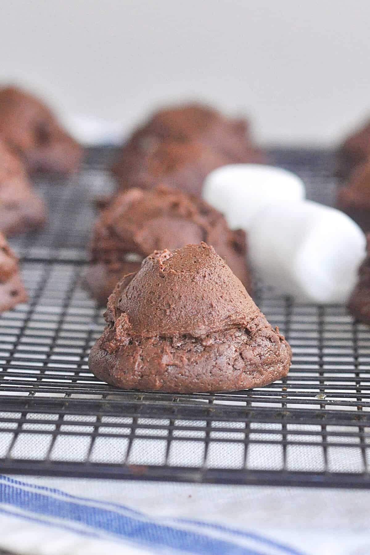 CLOSE UP OF A CHOCOLATE MARSHMALLOW COFOKIES ON A COOKING RACK
