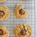 overhead shot of peanut butter blossom cookies