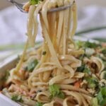 FORK FULL OF THAI NOODLE SALAD