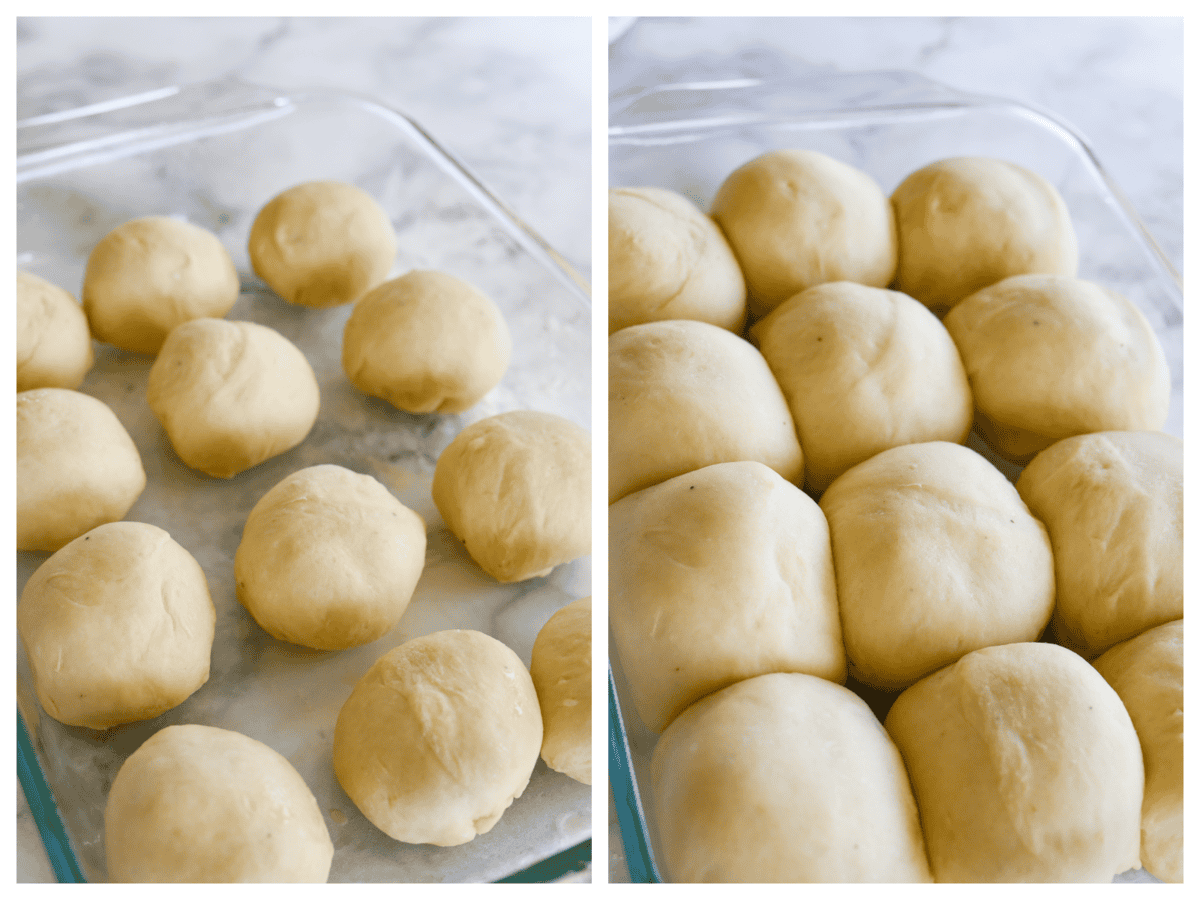 dough ball before and after rising in a pan