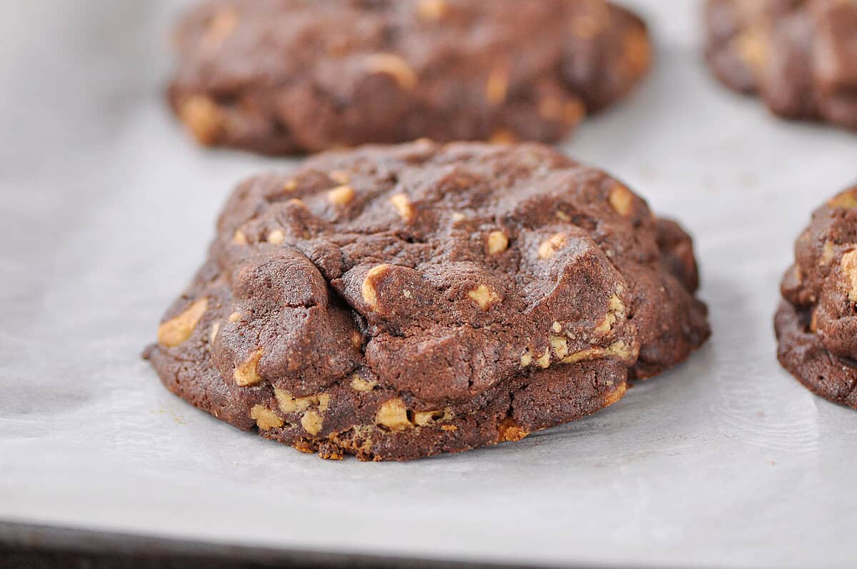 chocolate peanut butter cookies baked peanut butter chocolate chip cookie on parchment paper